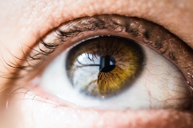 Brown eye in macro